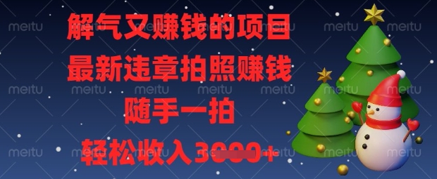 解气又挣钱的项目，最新违章拍照挣钱，随手一拍，轻松收入数张【揭秘】-亮剑学堂